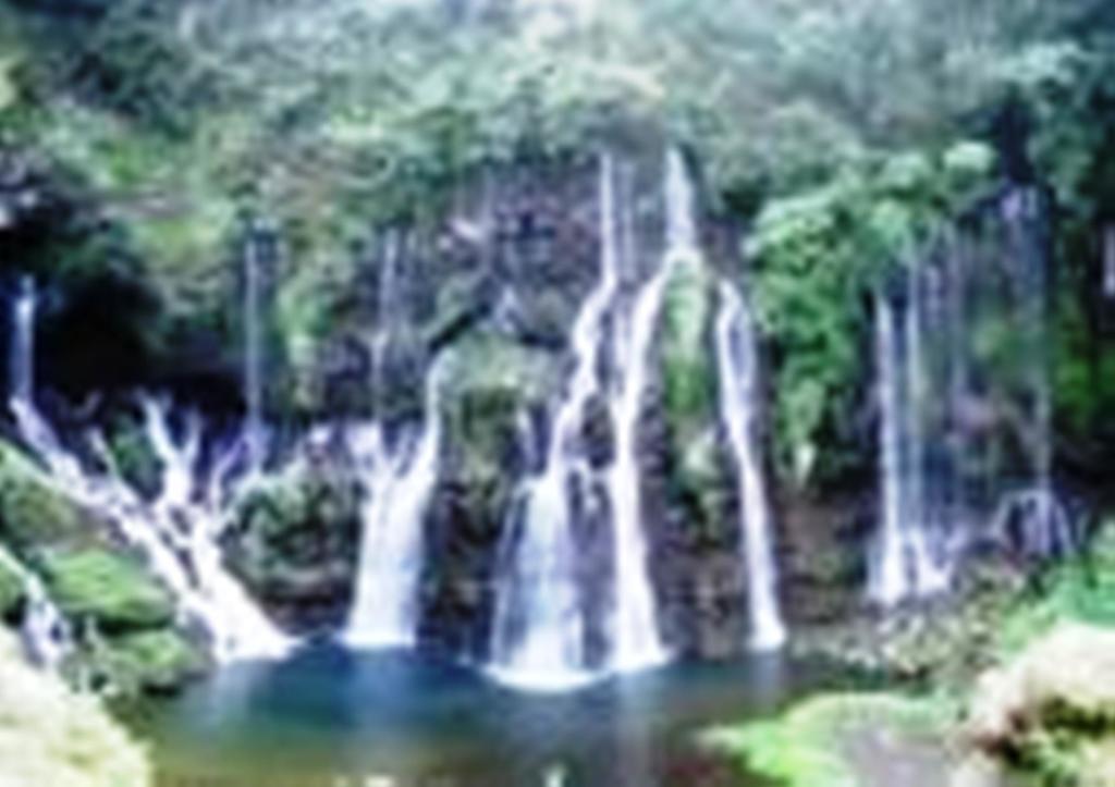 Braslontan Villa Le Tampon Exterior foto