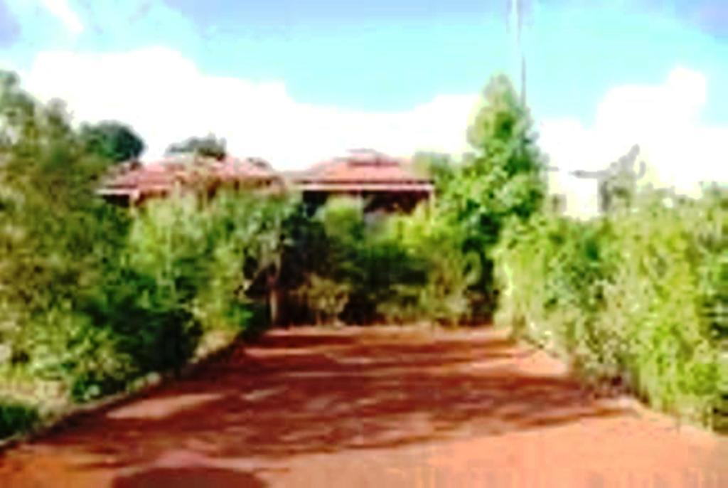 Braslontan Villa Le Tampon Exterior foto